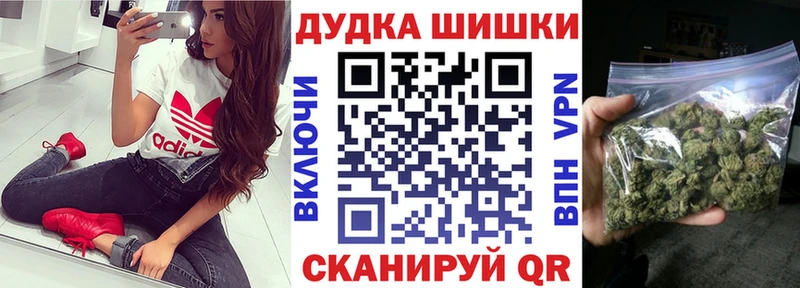 маркетплейс клад  Сельцо  Каннабис планчик  мега как войти 